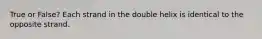 True or False? Each strand in the double helix is identical to the opposite strand.