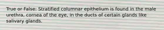 True or False: Stratified columnar epithelium is found in the male urethra, cornea of the eye, in the ducts of certain glands like salivary glands.