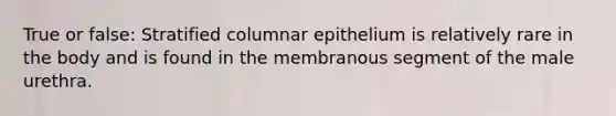 True or false: Stratified columnar epithelium is relatively rare in the body and is found in the membranous segment of the male urethra.