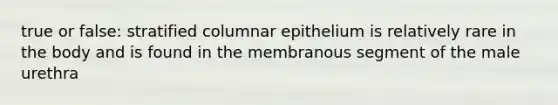 true or false: stratified columnar epithelium is relatively rare in the body and is found in the membranous segment of the male urethra