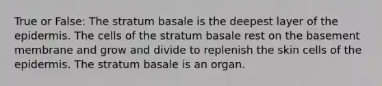 True or False: The stratum basale is the deepest layer of <a href='https://www.questionai.com/knowledge/kBFgQMpq6s-the-epidermis' class='anchor-knowledge'>the epidermis</a>. The cells of the stratum basale rest on the basement membrane and grow and divide to replenish the skin cells of the epidermis. The stratum basale is an organ.