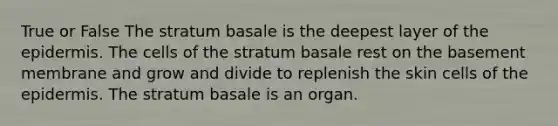 True or False The stratum basale is the deepest layer of the epidermis. The cells of the stratum basale rest on the basement membrane and grow and divide to replenish the skin cells of the epidermis. The stratum basale is an organ.