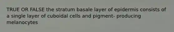 TRUE OR FALSE the stratum basale layer of epidermis consists of a single layer of cuboidal cells and pigment- producing melanocytes