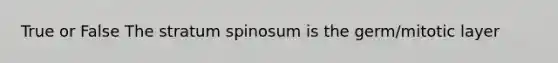 True or False The stratum spinosum is the germ/mitotic layer