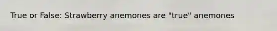True or False: Strawberry anemones are "true" anemones