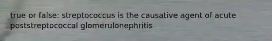 true or false: streptococcus is the causative agent of acute poststreptococcal glomerulonephritis