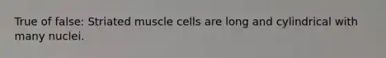 True of false: Striated muscle cells are long and cylindrical with many nuclei.