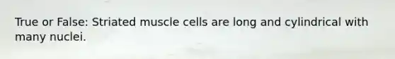 True or False: Striated muscle cells are long and cylindrical with many nuclei.