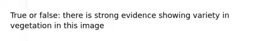 True or false: there is strong evidence showing variety in vegetation in this image