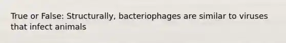 True or False: Structurally, bacteriophages are similar to viruses that infect animals