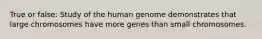 True or false: Study of the human genome demonstrates that large chromosomes have more genes than small chromosomes.