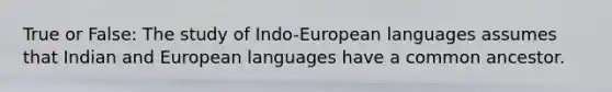 True or False: The study of Indo-European languages assumes that Indian and European languages have a common ancestor.