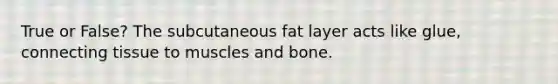 True or False? The subcutaneous fat layer acts like glue, connecting tissue to muscles and bone.