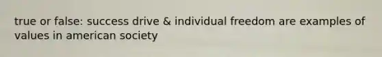 true or false: success drive & individual freedom are examples of values in american society