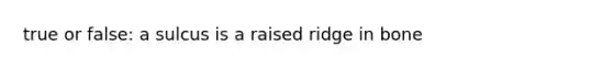 true or false: a sulcus is a raised ridge in bone