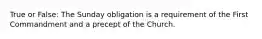True or False: The Sunday obligation is a requirement of the First Commandment and a precept of the Church.