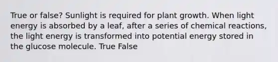 True or false? Sunlight is required for plant growth. When light energy is absorbed by a leaf, after a series of chemical reactions, the light energy is transformed into potential energy stored in the glucose molecule. True False