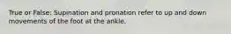 True or False: Supination and pronation refer to up and down movements of the foot at the ankle.