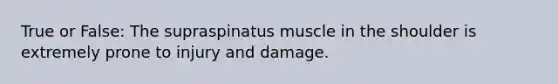 True or False: The supraspinatus muscle in the shoulder is extremely prone to injury and damage.