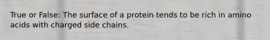 True or False: The surface of a protein tends to be rich in amino acids with charged side chains.