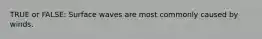 TRUE or FALSE: Surface waves are most commonly caused by winds.