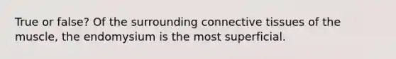 True or false? Of the surrounding connective tissues of the muscle, the endomysium is the most superficial.