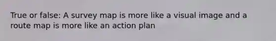 True or false: A survey map is more like a visual image and a route map is more like an action plan