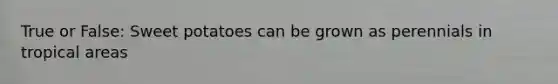 True or False: Sweet potatoes can be grown as perennials in tropical areas