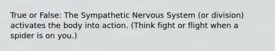 True or False: The Sympathetic Nervous System (or division) activates the body into action. (Think fight or flight when a spider is on you.)