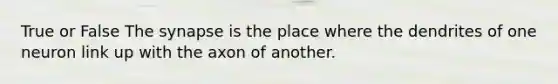 True or False The synapse is the place where the dendrites of one neuron link up with the axon of another.