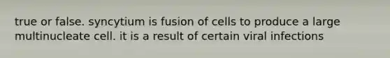 true or false. syncytium is fusion of cells to produce a large multinucleate cell. it is a result of certain viral infections