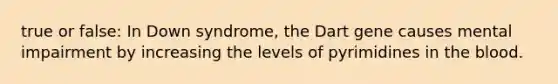 true or false: In Down syndrome, the Dart gene causes mental impairment by increasing the levels of pyrimidines in the blood.