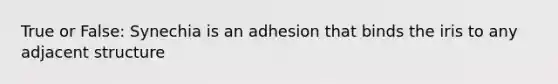 True or False: Synechia is an adhesion that binds the iris to any adjacent structure