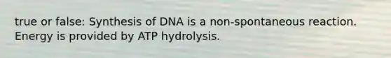 true or false: Synthesis of DNA is a non-spontaneous reaction. Energy is provided by ATP hydrolysis.