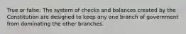 True or false: The system of checks and balances created by the Constitution are designed to keep any one branch of government from dominating the other branches.