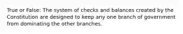 True or False: The system of checks and balances created by the Constitution are designed to keep any one branch of government from dominating the other branches.