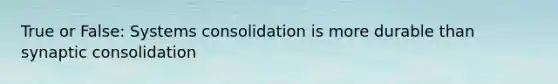 True or False: Systems consolidation is more durable than synaptic consolidation