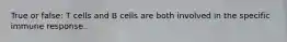 True or false: T cells and B cells are both involved in the specific immune response.