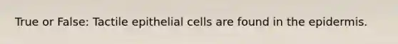 True or False: Tactile epithelial cells are found in the epidermis.