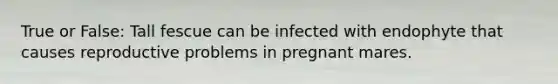 True or False: Tall fescue can be infected with endophyte that causes reproductive problems in pregnant mares.