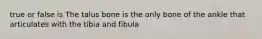 true or false is The talus bone is the only bone of the ankle that articulates with the tibia and fibula