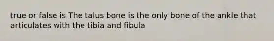 true or false is The talus bone is the only bone of the ankle that articulates with the tibia and fibula