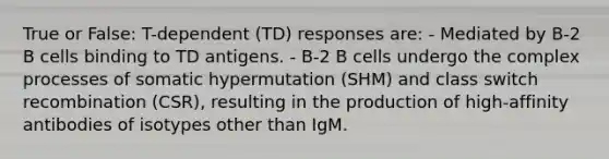 True or False: T-dependent (TD) responses are: - Mediated by B-2 B cells binding to TD antigens. - B-2 B cells undergo the complex processes of somatic hypermutation (SHM) and class switch recombination (CSR), resulting in the production of high-affinity antibodies of isotypes other than IgM.