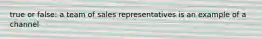 true or false: a team of sales representatives is an example of a channel