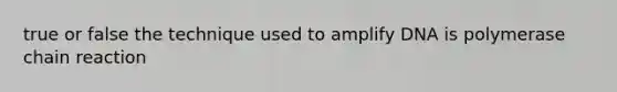 true or false the technique used to amplify DNA is polymerase chain reaction