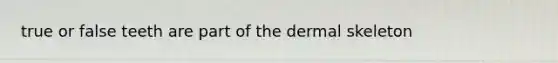 true or false teeth are part of the dermal skeleton