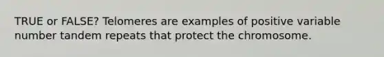 TRUE or FALSE? Telomeres are examples of positive variable number tandem repeats that protect the chromosome.