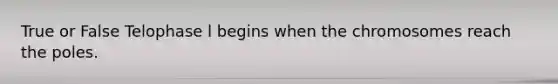 True or False Telophase l begins when the chromosomes reach the poles.