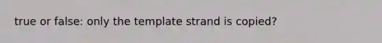 true or false: only the template strand is copied?