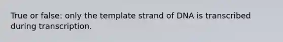 True or false: only the template strand of DNA is transcribed during transcription.